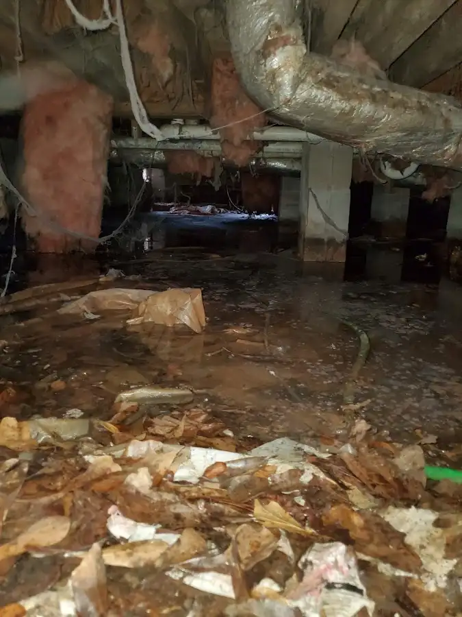 Crawl space flood assessment for Leak Detection & Repair in Cottage Grove